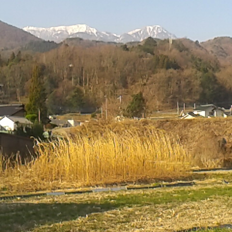 ３月１４日にドンドコ沢で遭難、ヘリで救助された。積雪期はドンドコ沢コースは避けた方が良いです。