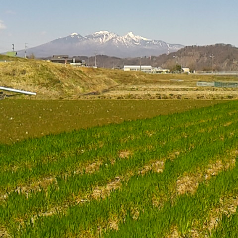 八ヶ岳も綺麗に見えています。