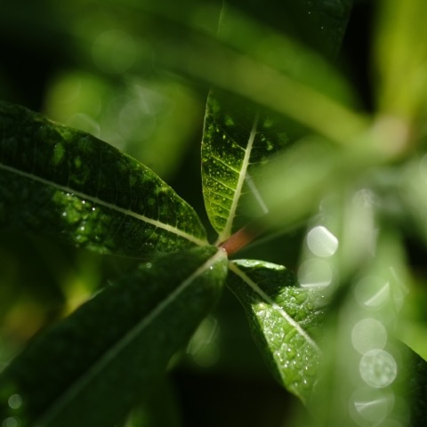10℃以下になりました。