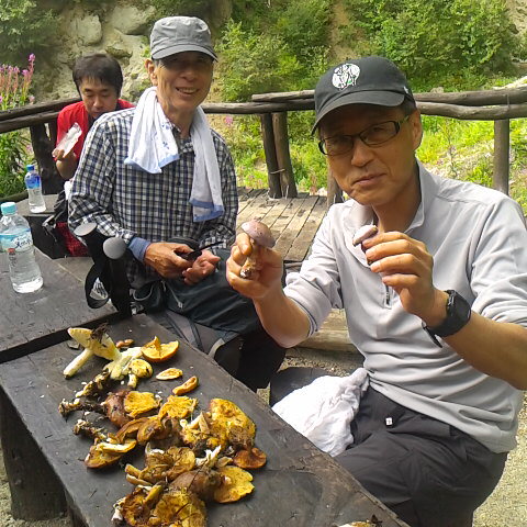 キノコをゲット。家族にお土産。