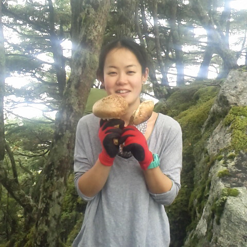 松茸採りに挑戦した千花さんです。