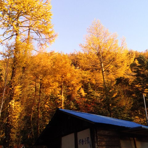 今朝の気温は６度です。風はあるが暖かい朝です。