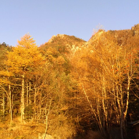 今朝の気温は三度、穏やかな良い天気です。