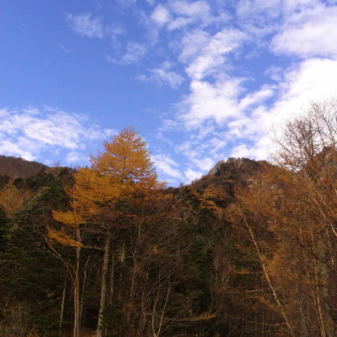 ただいまの気温６度。朝は雲ってあたのが今は晴れ。