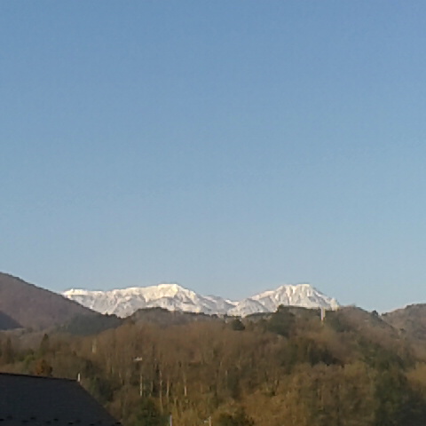 今日は暖かく春の天気です。やっとツバメが来ました、今年の初見です。