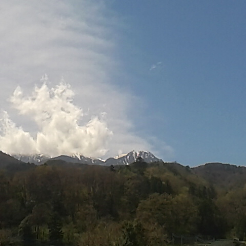 今日は初夏を思わせる天気です。昨日鳳凰三山で捜索のヘリが飛びました。