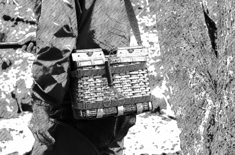 親父さんと散歩