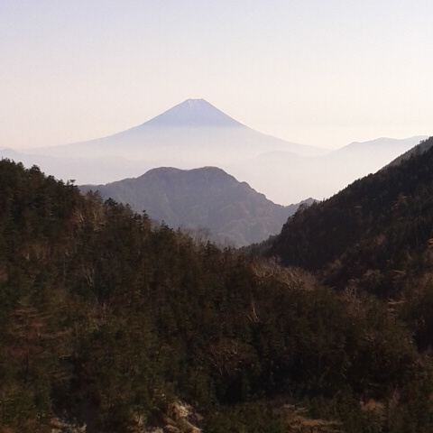 鳳凰小屋から御座石方面に5 分下った所からの富士山です。