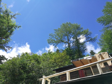 夏らしい青空になりました  byアオト