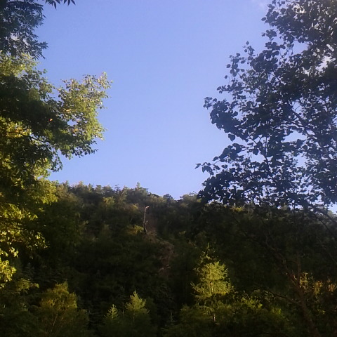 気温12度、爽やかな朝です。