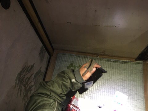 手乗りヤマネちゃんを救助！ by有馬