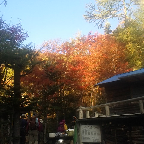 今朝の鳳凰小屋。