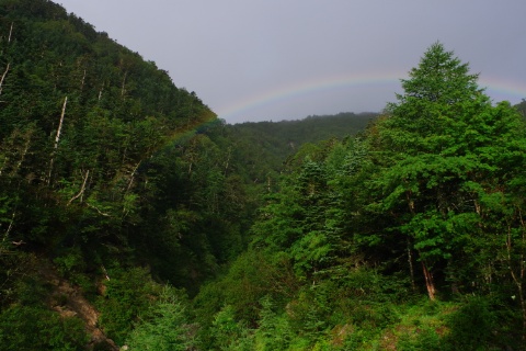 今朝は気温13℃、くもりですが、晴れ間。朝は虹が出てきれいでした。