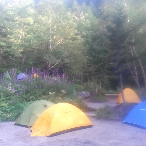 朝のテント場、気温は14 度。暖かい穏やかな朝です。